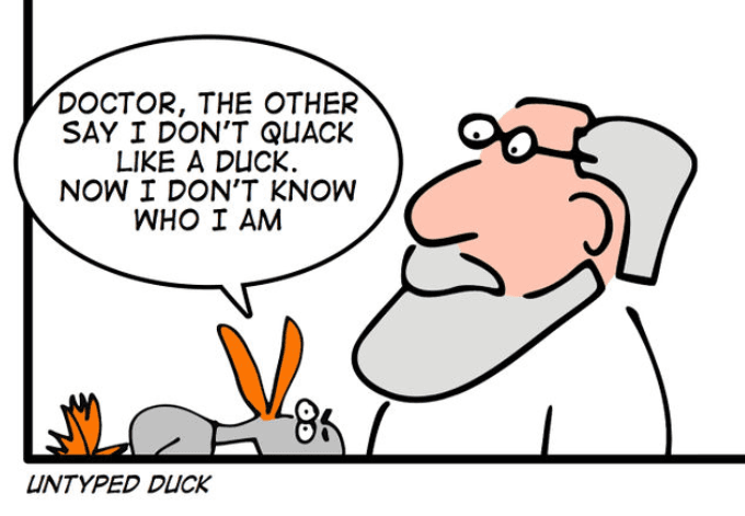 Implicit, Explicit, Nominal, Structuring and Duck Typing